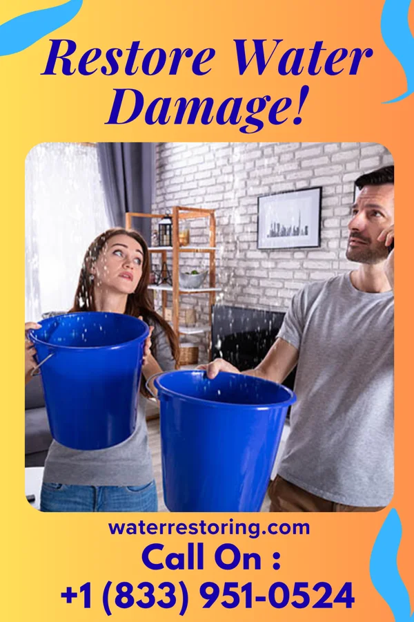 water restoration Best Water Works Company Brave